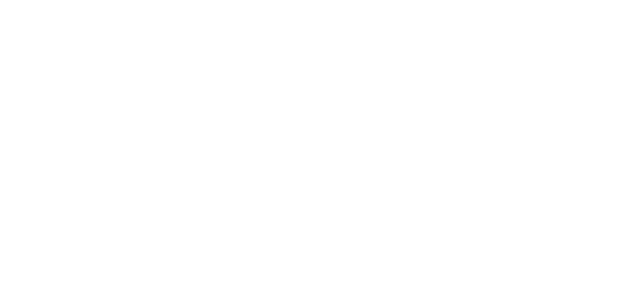 80 jaar vrijheid logo 2025 CMYK wit